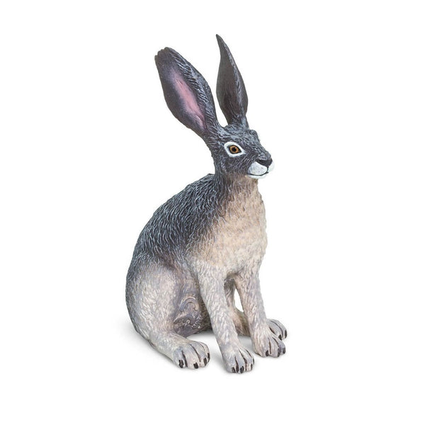 Safari Ltd American Desert Hare-SAF182029-Animal Kingdoms Toy Store