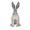 Safari Ltd American Desert Hare-SAF182029-Animal Kingdoms Toy Store