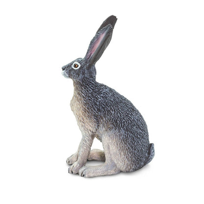 Safari Ltd American Desert Hare-SAF182029-Animal Kingdoms Toy Store