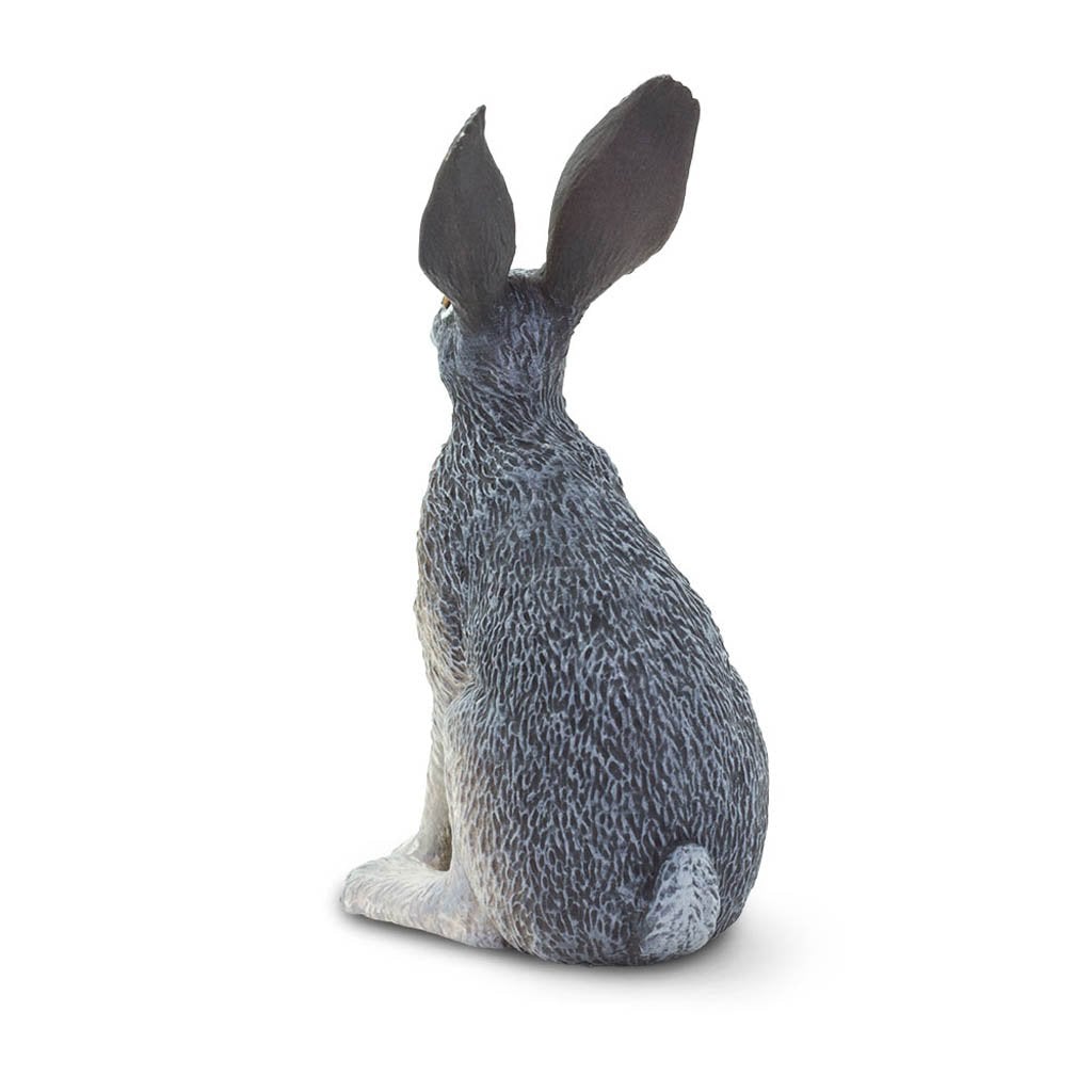 Safari Ltd American Desert Hare-SAF182029-Animal Kingdoms Toy Store