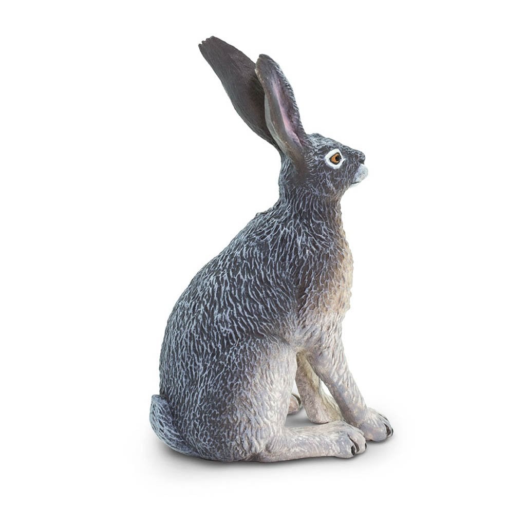 Safari Ltd American Desert Hare-SAF182029-Animal Kingdoms Toy Store