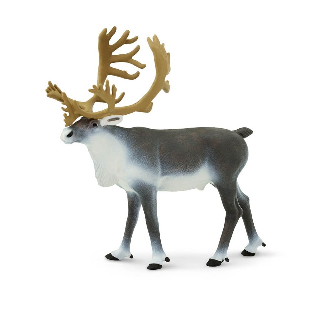 Safari Ltd Caribou-SAF182229-Animal Kingdoms Toy Store