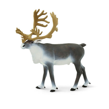 Safari Ltd Caribou-SAF182229-Animal Kingdoms Toy Store