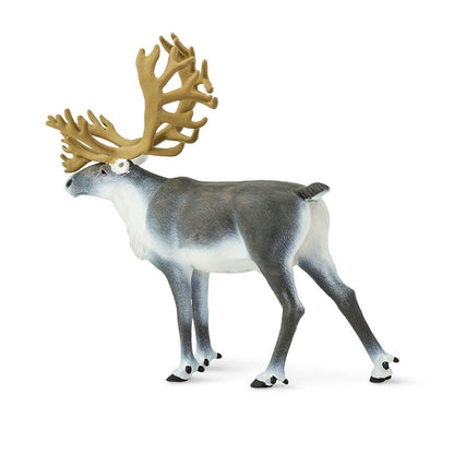 Safari Ltd Caribou-SAF182229-Animal Kingdoms Toy Store