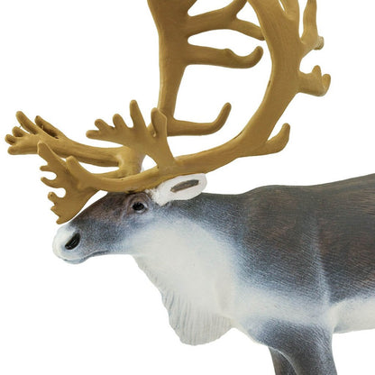 Safari Ltd Caribou-SAF182229-Animal Kingdoms Toy Store