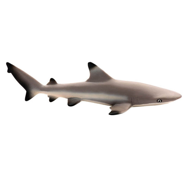 Safari Ltd Blacktip Reef Shark-SAF200029-Animal Kingdoms Toy Store
