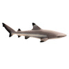 Safari Ltd Blacktip Reef Shark-SAF200029-Animal Kingdoms Toy Store