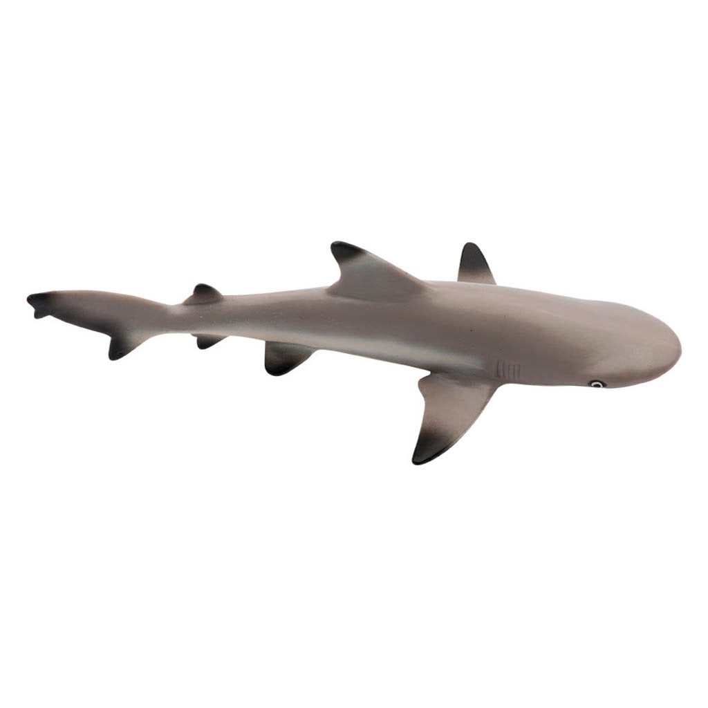 Safari Ltd Blacktip Reef Shark-SAF200029-Animal Kingdoms Toy Store