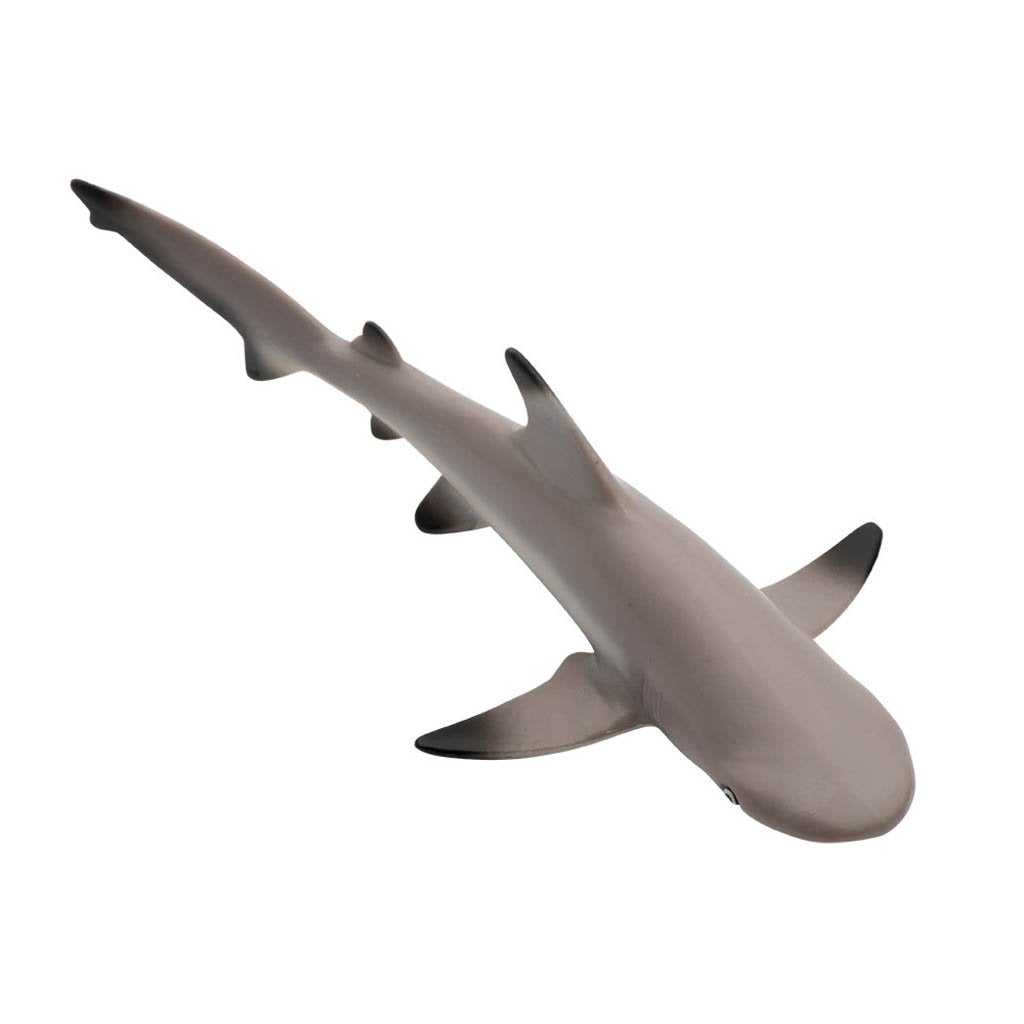 Safari Ltd Blacktip Reef Shark-SAF200029-Animal Kingdoms Toy Store