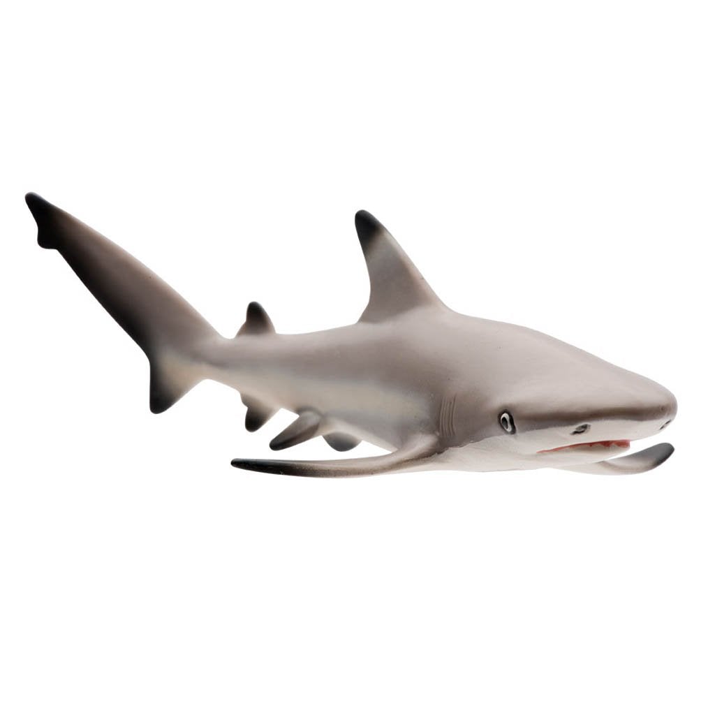 Safari Ltd Blacktip Reef Shark-SAF200029-Animal Kingdoms Toy Store