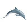 Safari Ltd Dolphin-SAF200129-Animal Kingdoms Toy Store