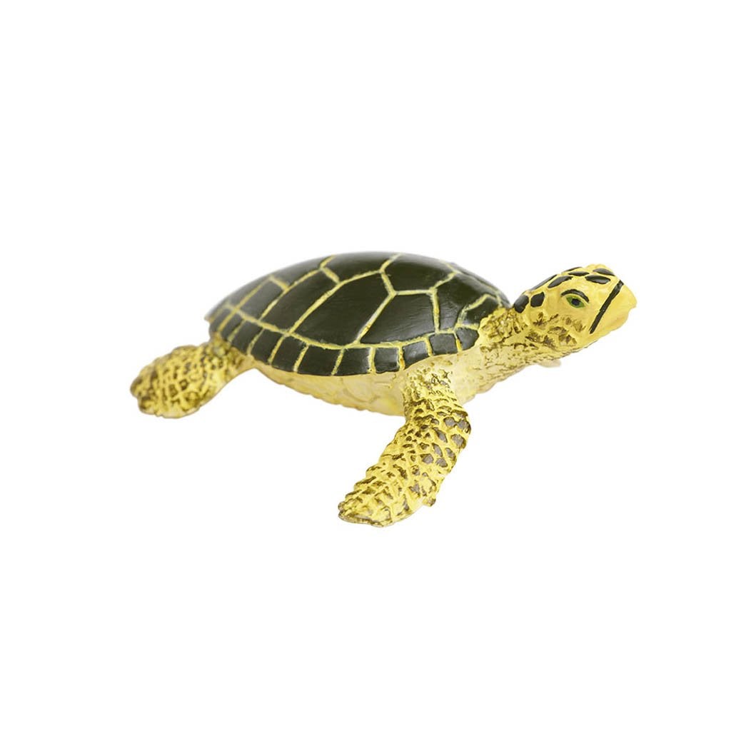Safari Ltd Green Sea Turtle Baby-SAF201329-Animal Kingdoms Toy Store