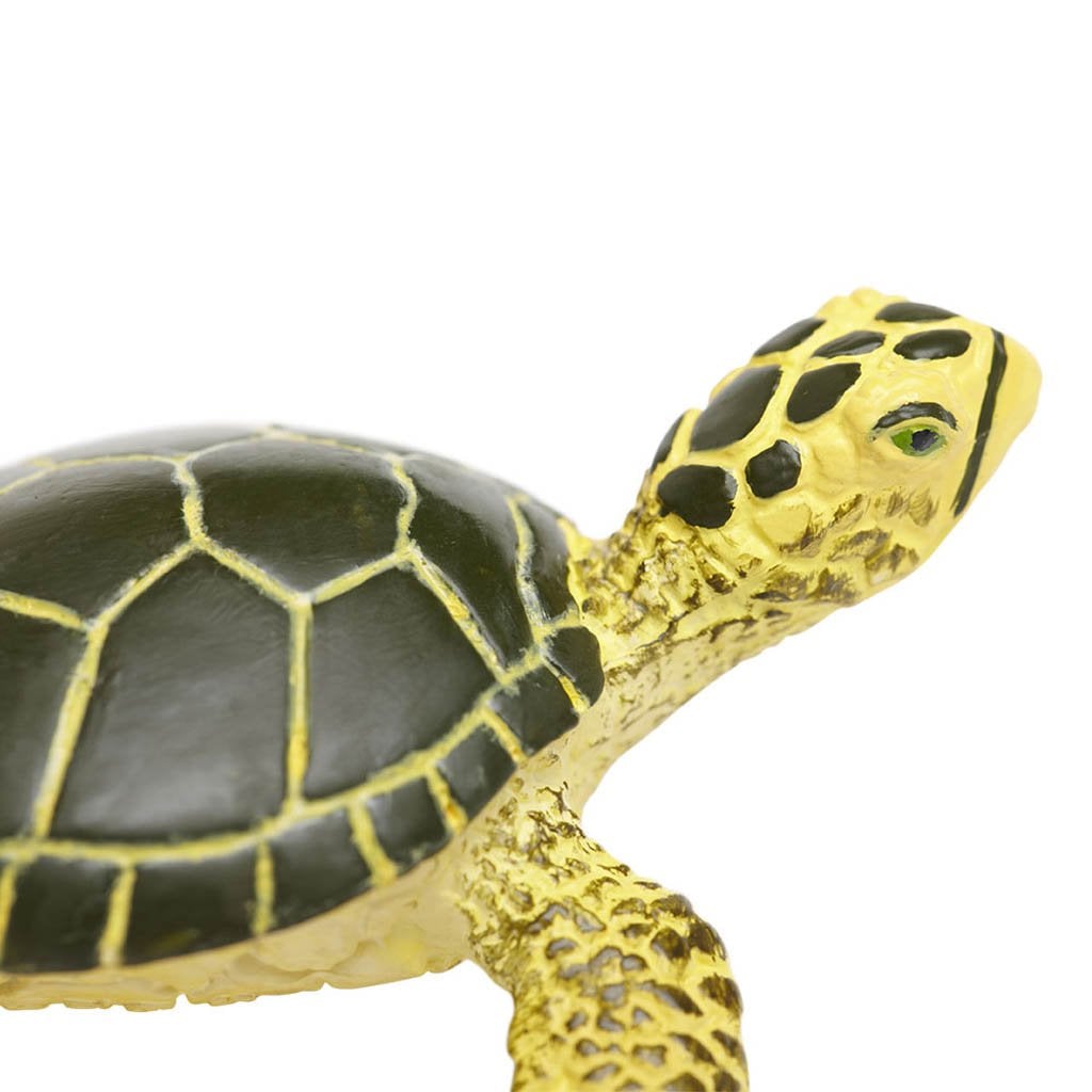 Safari Ltd Green Sea Turtle Baby-SAF201329-Animal Kingdoms Toy Store
