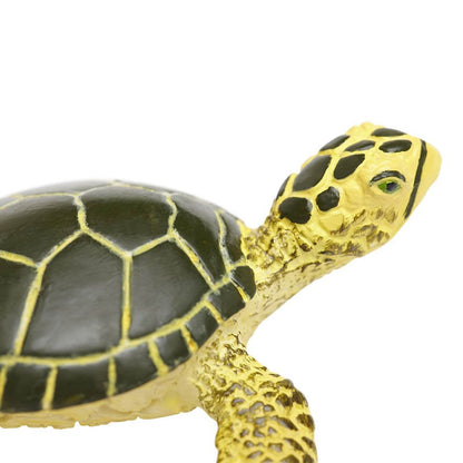 Safari Ltd Green Sea Turtle Baby-SAF201329-Animal Kingdoms Toy Store