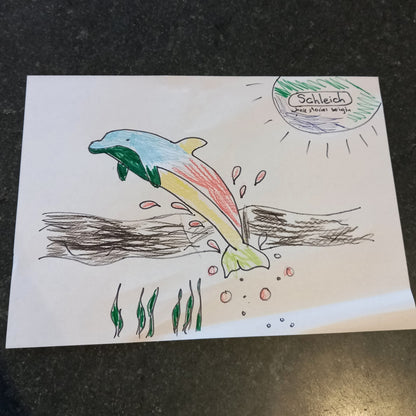 Colouring Competition 2022