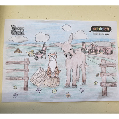 Colouring Competition 2022