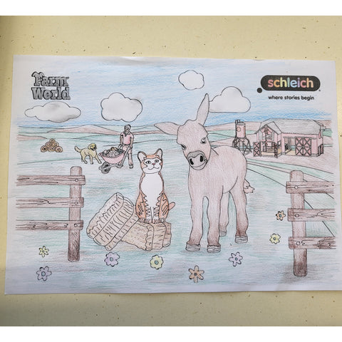 Colouring Competition 2022