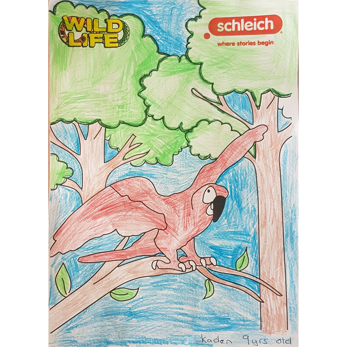 Colouring Competition 2022