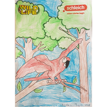 Colouring Competition 2022