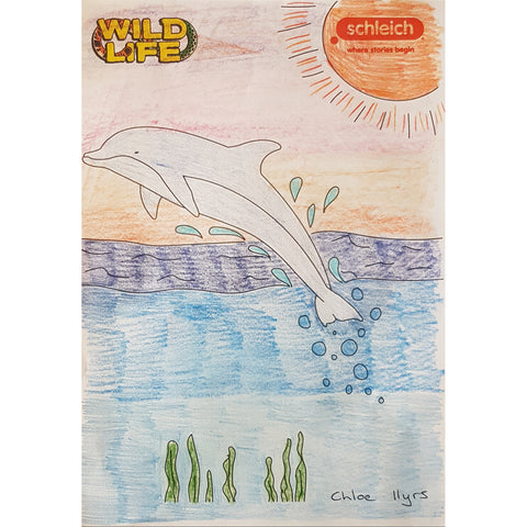 Colouring Competition 2022