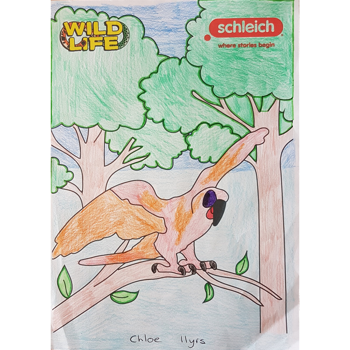 Colouring Competition 2022