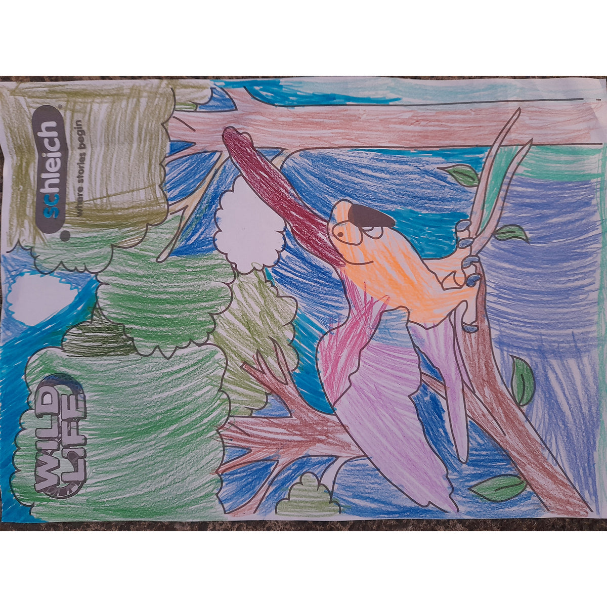 Colouring Competition 2022