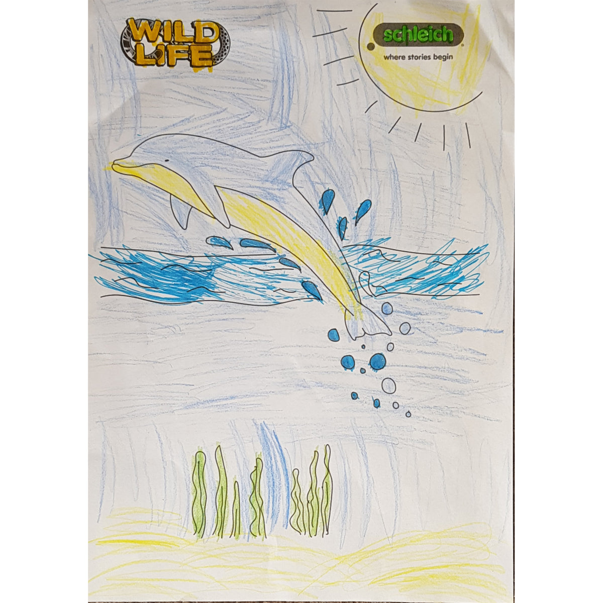 Colouring Competition 2022