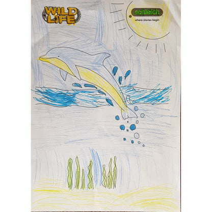 Colouring Competition 2022