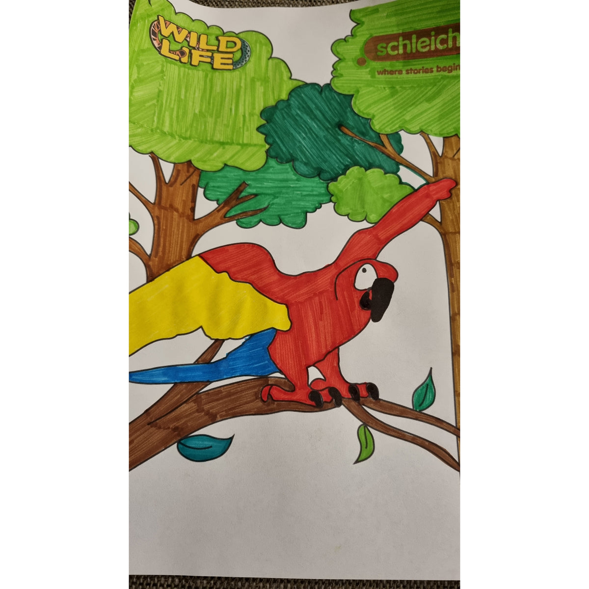 Colouring Competition 2022