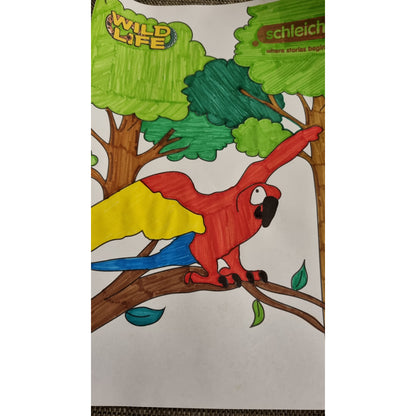 Colouring Competition 2022