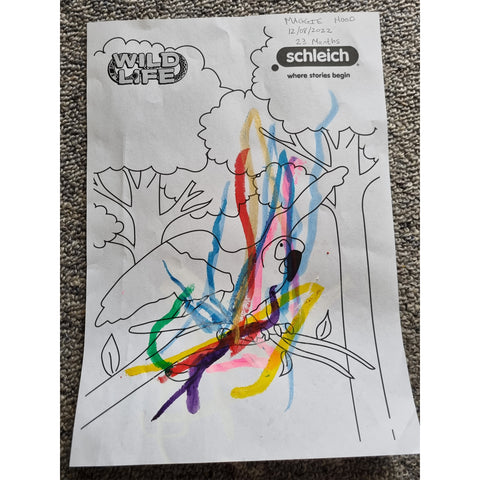 Colouring Competition 2022