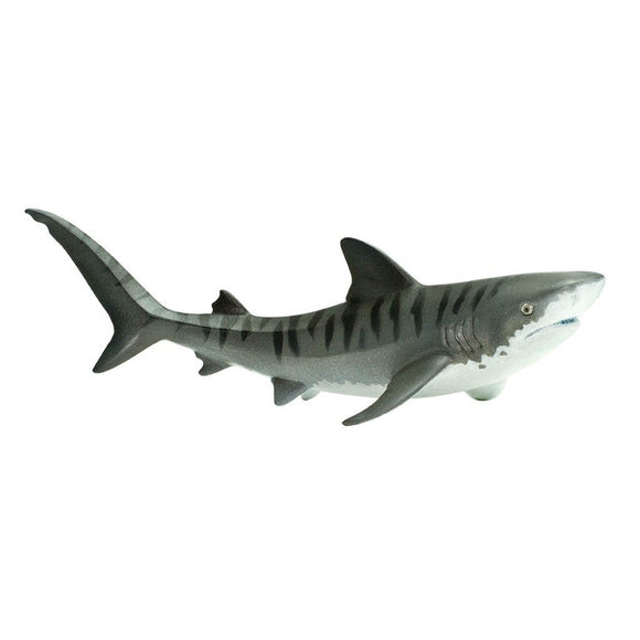 Safari Ltd Tiger Shark-SAF202229-Animal Kingdoms Toy Store