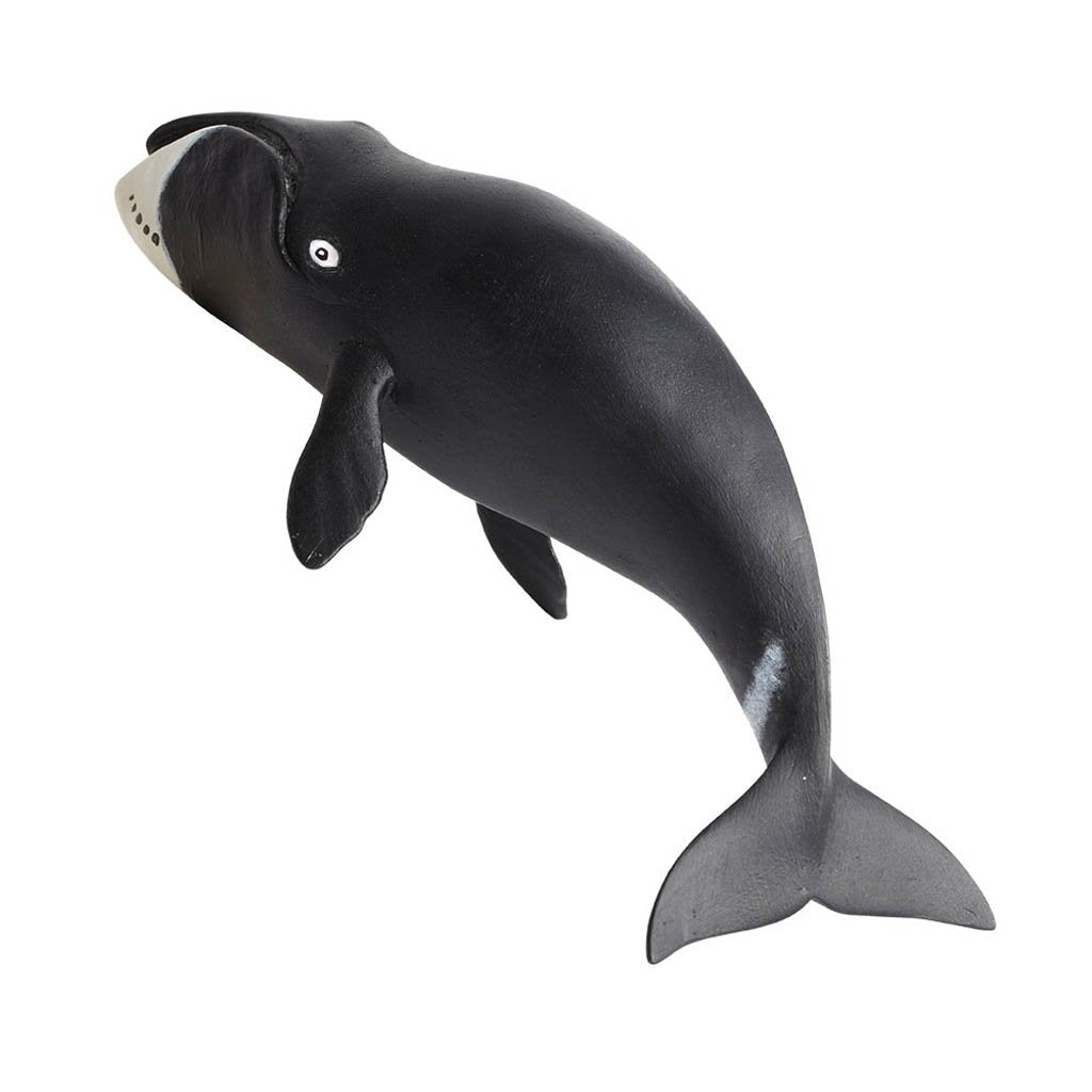 Safari Ltd Bowhead Whale-SAF205529-Animal Kingdoms Toy Store