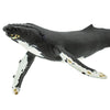 Safari Ltd Humpback Whale Monterey Bay Aquarium-SAF210002-Animal Kingdoms Toy Store