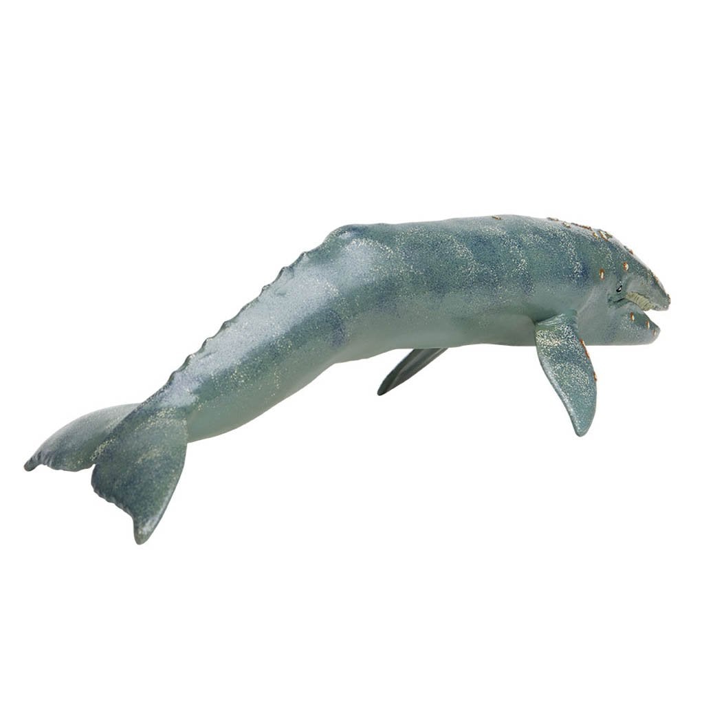 Safari Ltd Grey Whale Monterey Bay Aquarium-SAF210402-Animal Kingdoms Toy Store