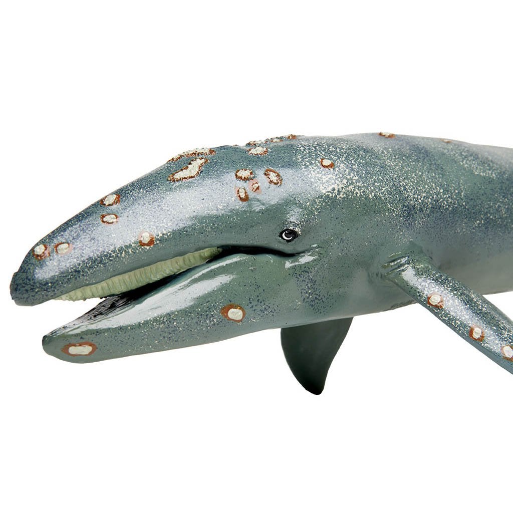 Safari Ltd Grey Whale Monterey Bay Aquarium-SAF210402-Animal Kingdoms Toy Store