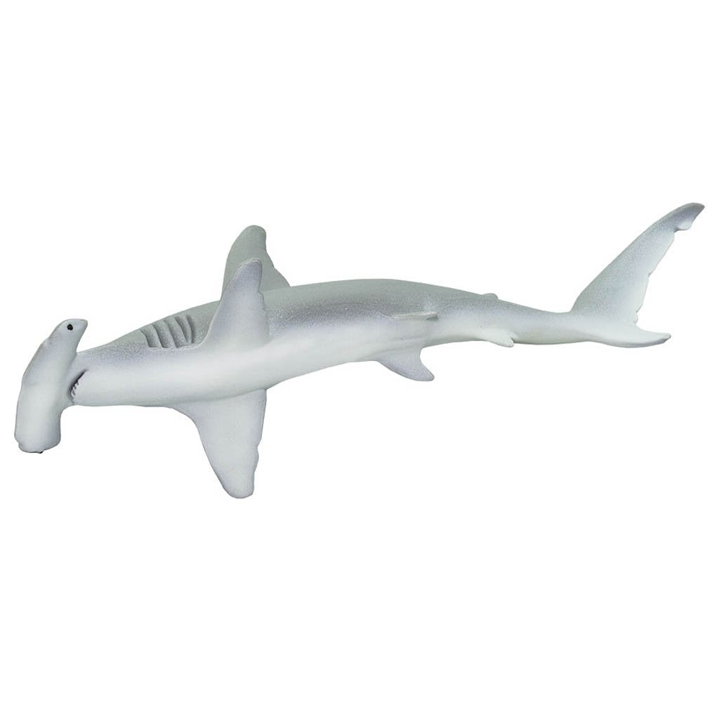 Safari Ltd Hammerhead Shark Monterey Bay Aquarium-SAF210702-Animal Kingdoms Toy Store