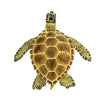 Safari Ltd Loggerhead Turtle-SAF220229-Animal Kingdoms Toy Store