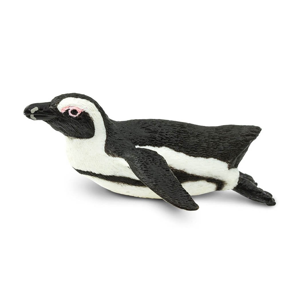 Safari Ltd South African Penguin-SAF220529-Animal Kingdoms Toy Store