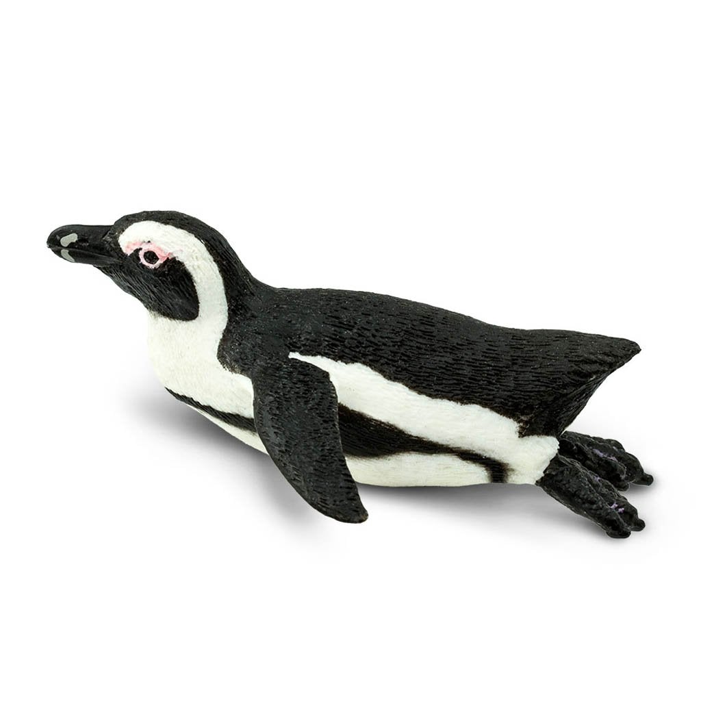 Safari Ltd South African Penguin-SAF220529-Animal Kingdoms Toy Store