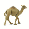 Safari Ltd Dromedary Camel-SAF222429-Animal Kingdoms Toy Store