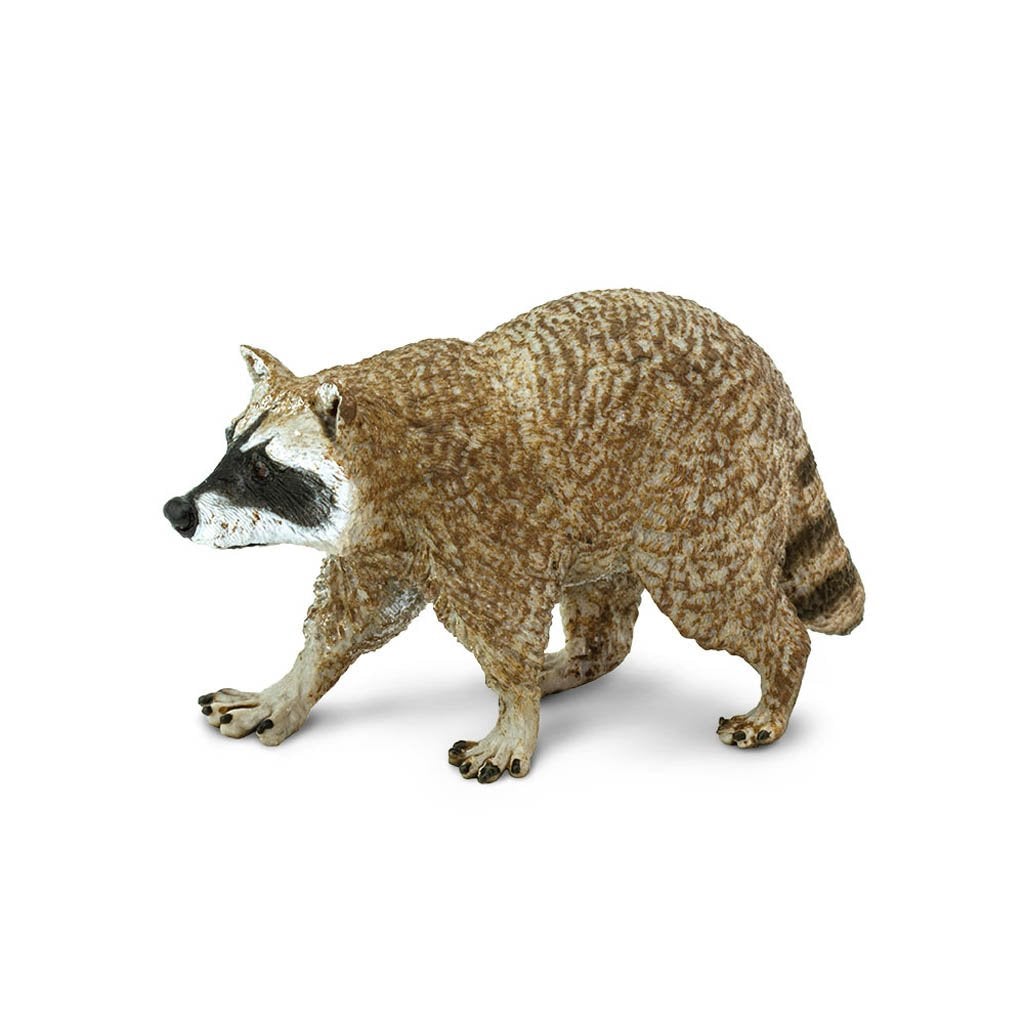 Safari Ltd Raccoon-SAF223029-Animal Kingdoms Toy Store
