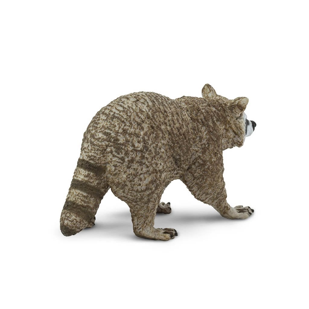 Safari Ltd Raccoon-SAF223029-Animal Kingdoms Toy Store