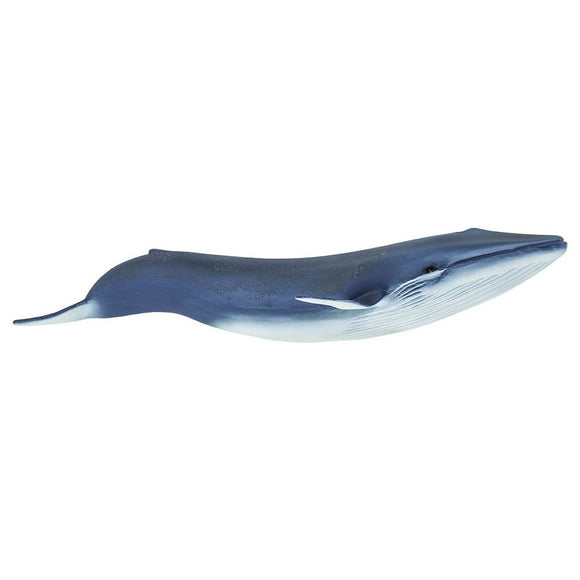 Safari Ltd Blue Whale-SAF223229-Animal Kingdoms Toy Store