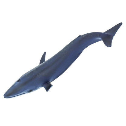 Safari Ltd Blue Whale-SAF223229-Animal Kingdoms Toy Store