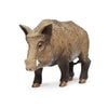 Safari Ltd Boar-SAF224229-Animal Kingdoms Toy Store