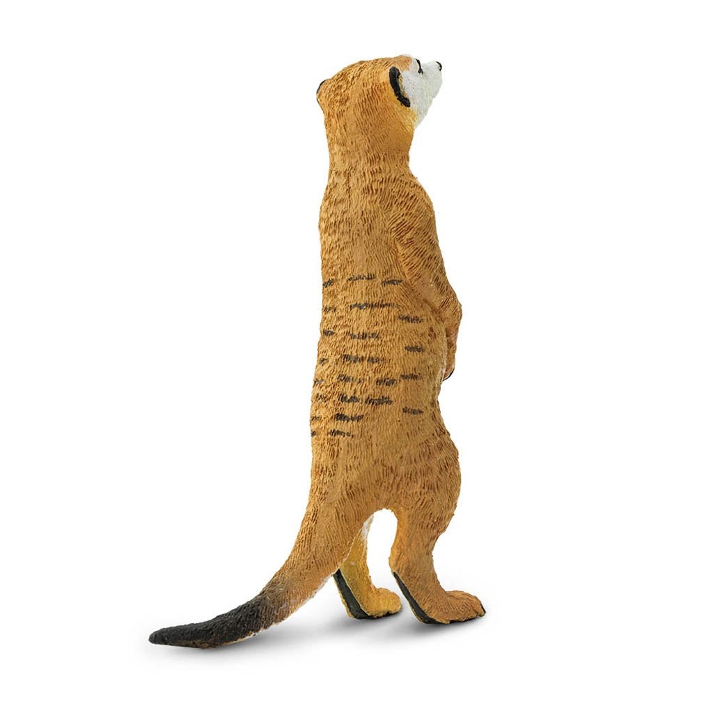 Safari Ltd Meerkat-SAF224629-Animal Kingdoms Toy Store