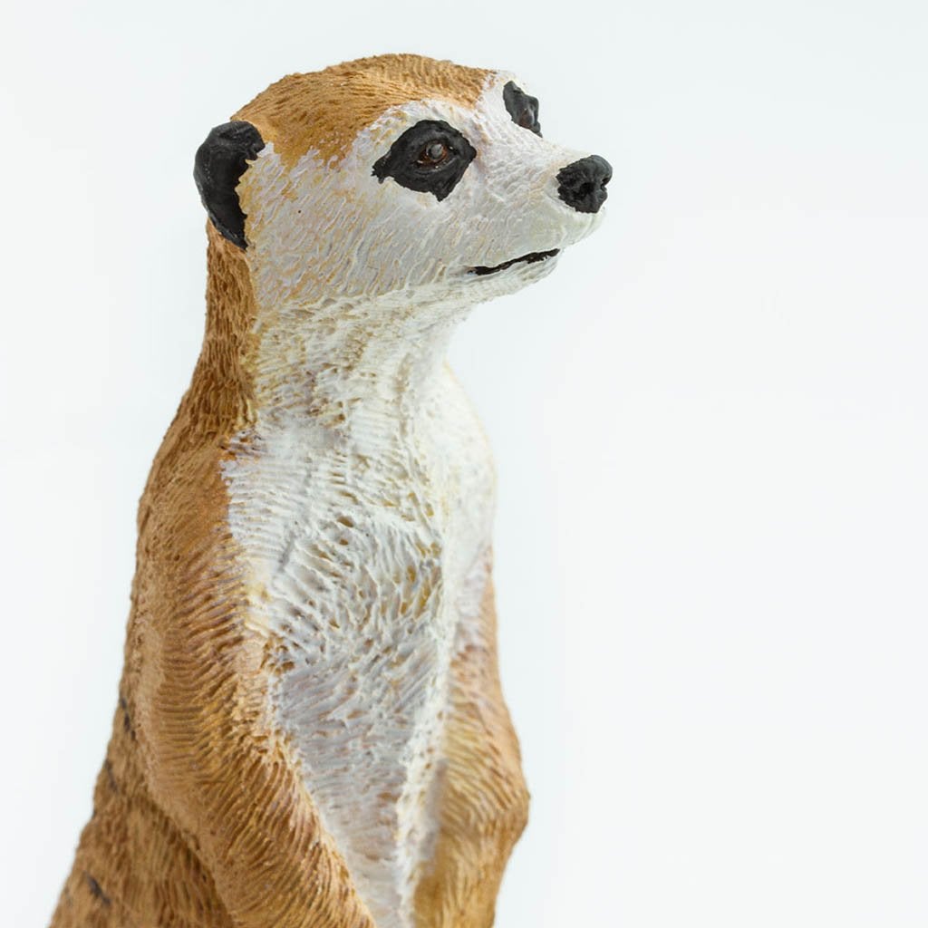 Safari Ltd Meerkat-SAF224629-Animal Kingdoms Toy Store
