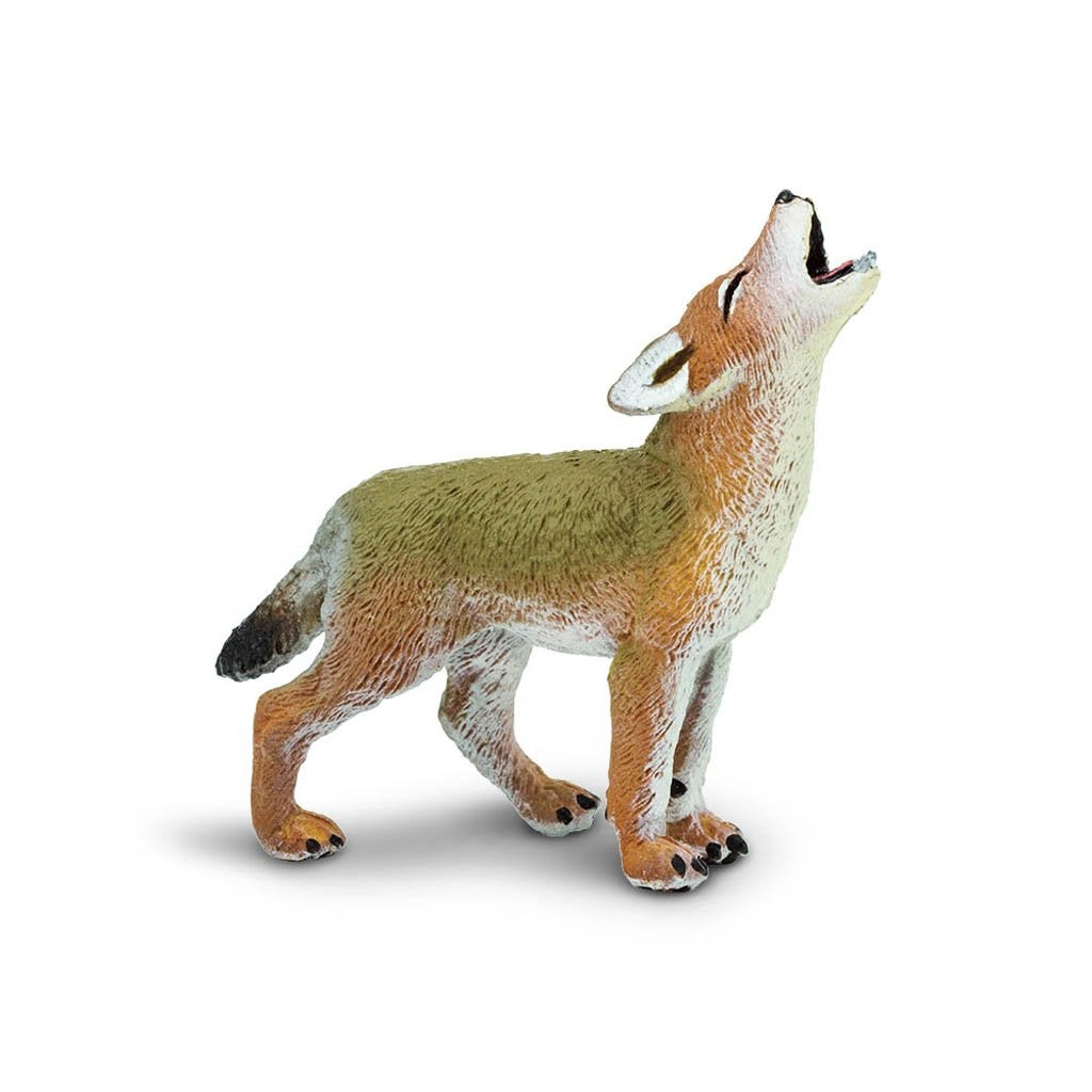 Safari Ltd Coyote Pup-SAF227129-Animal Kingdoms Toy Store