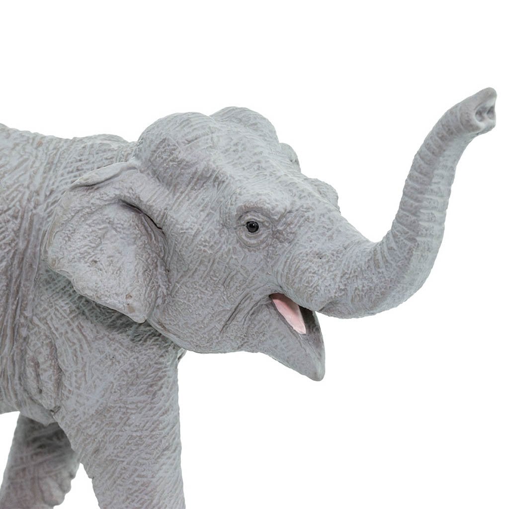 Safari Ltd Asian Elephant-SAF227529-Animal Kingdoms Toy Store